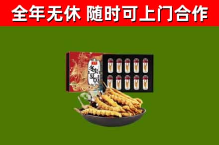 孝昌县回收冬虫夏草价格